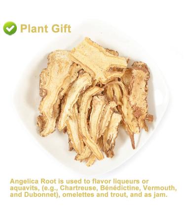 Buy Organic Angelica Root 70g - Dried Cut Root & Tea | Premium Archangelica Officinalis for Herbal Remedies - International Shipping - Buy Online on SooperMarket.com