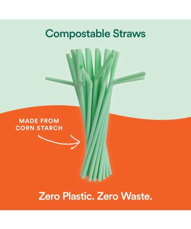 ECO SOUL 100% Compostable Straws - 100 Count, 8.25 inch, Eco-Friendly, Biodegradable, Sustainable, Disposable Straws for Cocktails, Cold Drinks, Smoothies - Bendable - Buy Online on SooperMarket.com
