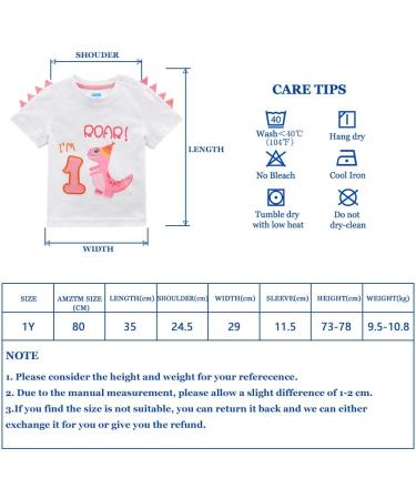 1st Birthday Girl Dinosaur Party T-Shirt | Baby B-Day Themed Tee | Gift for 1 Year Old - White - Buy Online on SooperMarket.com