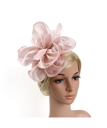 FRCOLOR Fascinator Feather Headband / Clip Party Wedding Royal Ascot Races Hair Accessories Headdress (Nude Pink)