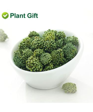 Buy Panax Notoginseng Flower Tea 60G | Premium Tienchi Notoginseng | International Shipping Available - Buy Online on SooperMarket.com