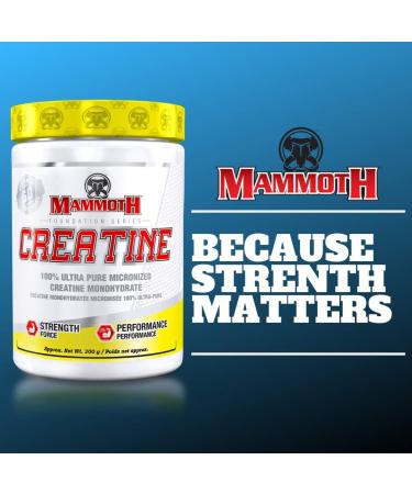 MAMMOTH MASS: Weight Gainer High Calorie Protein Powder Workout Smoothie Shake Meal Replacement & Creatine 300gm SUPPLEMENT + SUPPLEMENT 15331 6.8 kg (Pack of 1) - Buy Online on SooperMarket.com
