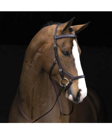 Ireland Rambo Micklem competition bridle dark havana Standard Horse