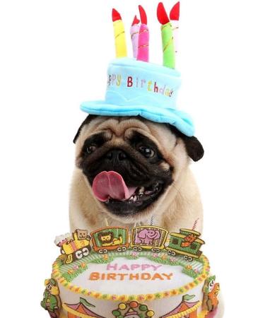 Cute Birthday Cake Hat for Pets with 5 Color Candles - Blue - Buy Online on SooperMarket.com