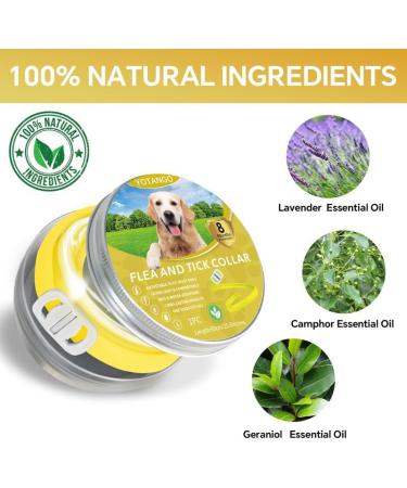 YOTANGO Dog Collar Repellent 1-Pack Dog Collar Repellency Slow Release Pleasant Aroma Waterproof - Yellow - Buy Online on SooperMarket.com