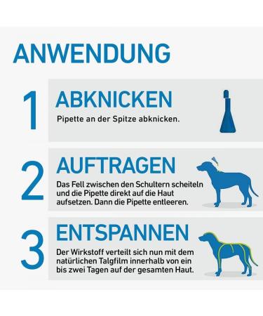 Frontline Spot On H 20 Solution for Dogs - 3 Pack (1.34 ml Each) | Effective Flea & Tick Treatment | International Shipping Available - Buy Online on SooperMarket.com