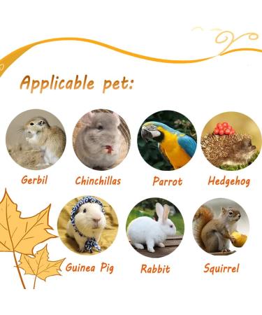 Litewoo Large Parrot Bird Bed Hammock - Winter Warm Plush Nest Toy for Conure, Lovebird, Parakeet, Cockatiel, Chinchilla, Guinea Pig, Squirrel - Cage Accessory - Buy Online on SooperMarket.com
