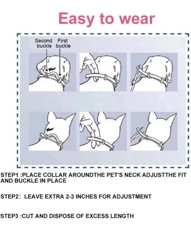 Cutially Waterproof Flea & Tick Protection Collar for Dogs & Cats | Adjustable Comb Included - Buy Online on SooperMarket.com