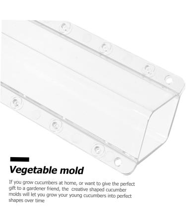 Kisangel 2pcs Square Cucumber Vegetables Vegetable Grow Forming Mould Tool Fruit Container - Buy Online on SooperMarket.com