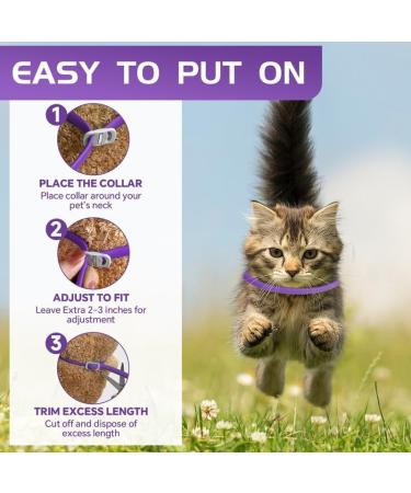 Calming Collar for Cats - Anxiety Relief and Natural Calm Treatment - Adjustable, Waterproof, Pheromone-Infused - 2 Pcs Purple - 60 Day Supply - for Kittens and Medium to Large Cats - Buy Online on SooperMarket.com