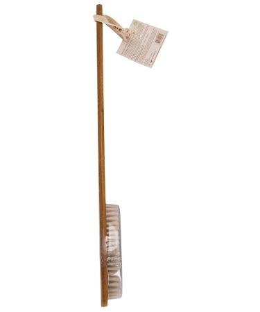 Cleanlogic Green Bamboo Bath Brush with Bristle Handle | Eco-Friendly Bathing Essential - Buy Online on SooperMarket.com