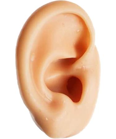 Model Medical Teaching Model Soft Silicone Tube Model for Teaching - Silicone Tube Model for Acupuncture - Simulation for Earpicking Practice Stud Earrings - Buy Online on SooperMarket.com
