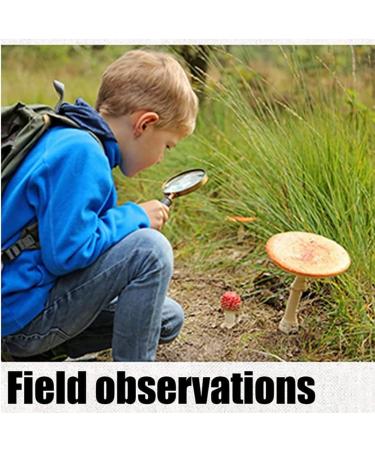 70mm 10X Handheld Magnifying Glass Shatterproof Reading Magnifier Real Glass Magnifying Lens with Imitation Mahogany Handle for Science Reading Book Inspection - Buy Online on SooperMarket.com