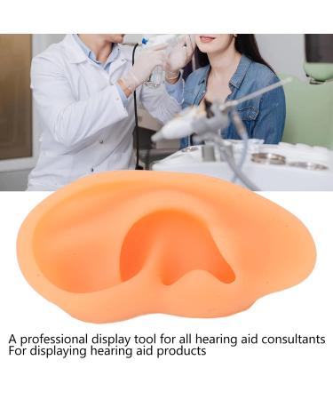 Ear Display Mould Waterproof Silicone Educational Professional Ear Model for Hospital(Right) - Buy Online on SooperMarket.com