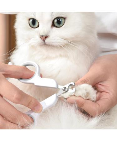 Otaive Claw Scissors for Cats & Dogs | Safety Stainless Steel Nail Clippers | Ideal for Puppies & Small Pets | Beginner-Friendly Pet Grooming Tools - Buy Online on SooperMarket.com