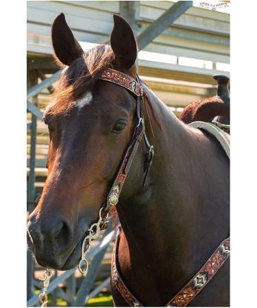 Circle Y Distressed Beaded Leather Browband Headstall - Walnut | Horse Bridle - Buy Online on SooperMarket.com