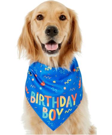 Dog Birthday Bandana Birthday Dog Bandana Boy Triangle Scarf Triangle Dog Scarfs Bandanas for Small Medium Dogs Pets Birthday Party Supplies (Blue) - Buy Online on SooperMarket.com