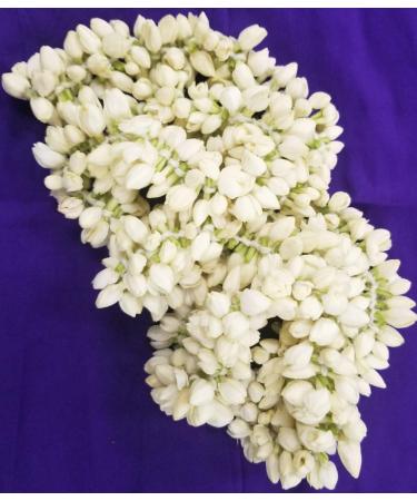 Veenas Jasmine Flower | 20cm | Used for Pooja & Edible | 100% Fresh | Indian Origin