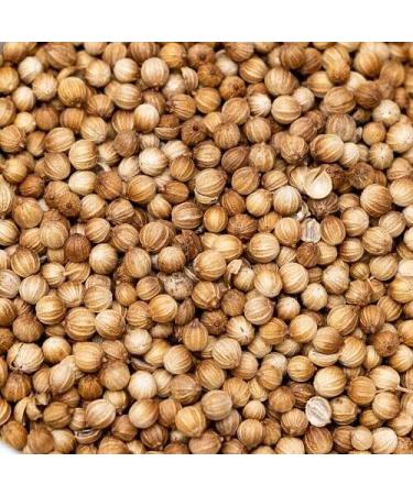 Coriander Seeds 100g Great for making Curry Curries Chilli Wizards