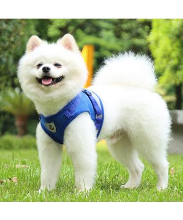Buy Reflective Soft Padded Dog Harness & Cat Dishes for Small Dogs - Air-Mesh Leash Included | Perfect Fit for Puppies & Cats (Chest 29-33cm) - Blue - Buy Online on SooperMarket.com