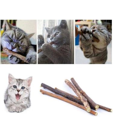 3PCS Natural Catnip Stick Cat Cleaning Teeth Molar Toothpaste Branch Cats Snacks Sticks Supplies Kitten Pet Biting Excitement Stick - Buy Online on SooperMarket.com
