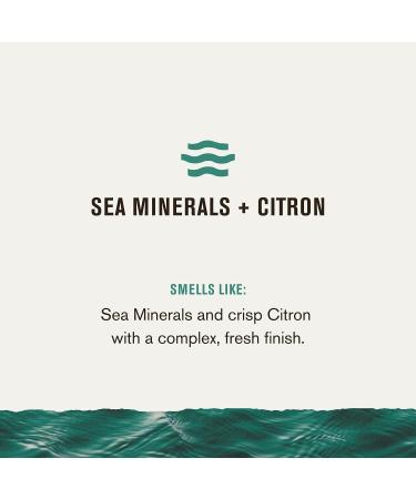 Every Man Jack Sea Minerals + Citron Men's 3-in-1 All Over Wash - Sea Mineral, Bergamot, Citrus - For All Skin and Hair Types - Soy Proteins for Cleansing, Nourishing, and Protecting - Buy Online on SooperMarket.com