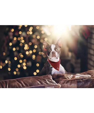 Shop Lionet Paws Christmas Bandana for Dogs - Triangular Headscarf in Black & Red Perfect for Small to Large Breeds - International Shipping Available! - Buy Online on SooperMarket.com