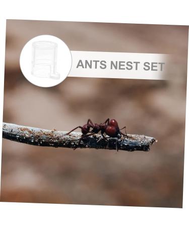 POPETPOP 2pcs Pet Water Feeder Pet Stuff Pet Water Bowl Ant Villa Ants Drinking Tool Small Water Cup - Buy Online on SooperMarket.com