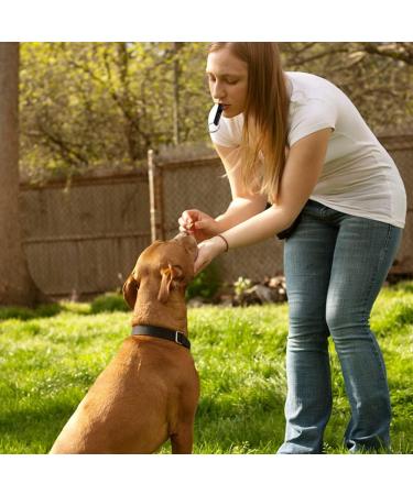 nuoshen 2 Pcs Dog Whistle Black Red Dog Training Whistle Dog Whistles for Recall and Pet Behavior Control - Buy Online on SooperMarket.com