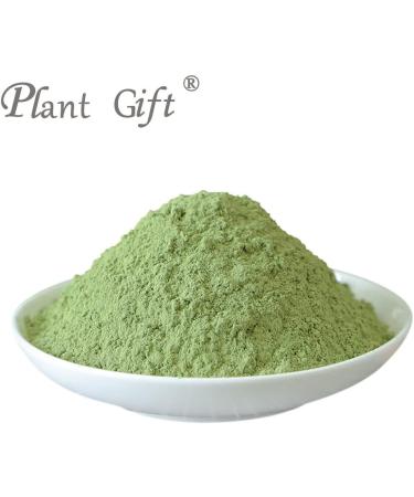 Plant Gift 100% Celery Powder 100G/3.25oz Non-GMO Powder No Filler No additives Natural Chinese Flour Adds Flavor and Taste Great Flavor for Drinks 2UK-PO0081 - Buy Online on SooperMarket.com