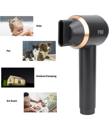 Cordless Ionic Hair Dryer Ionic High Speed Blow Dryer Portable Travel Hair Dryer Household Fast Drying Cold Heat Constant Air Blow Dryer Professional Negative Ions Hair (US Plug US Plug 100 240V 100-240V - Buy Online on SooperMarket.com