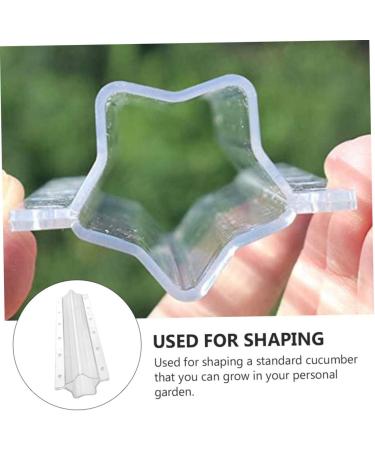 GANAZONO 6 Pcs Vegetable Shaping Shaped Cucumber Shaping Moulds Cucumber Molds Strawberry Transparentx2pcs 20x5.5cmx2pcs - Buy Online on SooperMarket.com