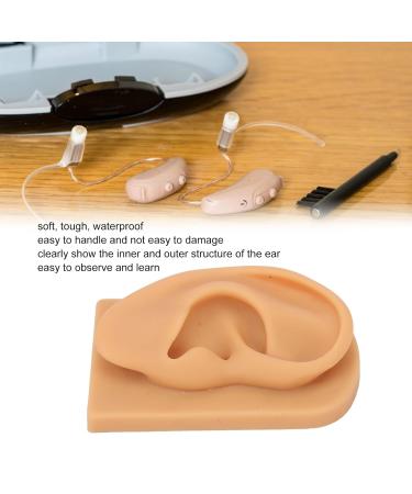 Soft Silicone Kadimendium Ear Model - Waterproof and Easy to Observe | Right Ear Model for Display - Buy Online on SooperMarket.com