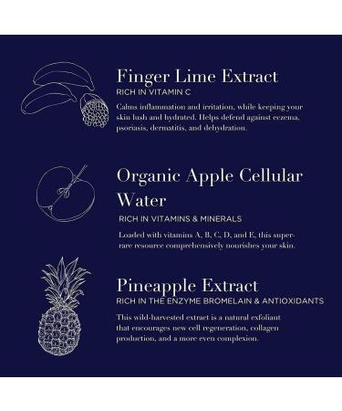 Averr Aglow Opulent Hydration Dew - Daily Face Moisturizer & Healing Mist | Natural Mineral Solution for Hydrating & Refreshing Skin - Buy Online on SooperMarket.com