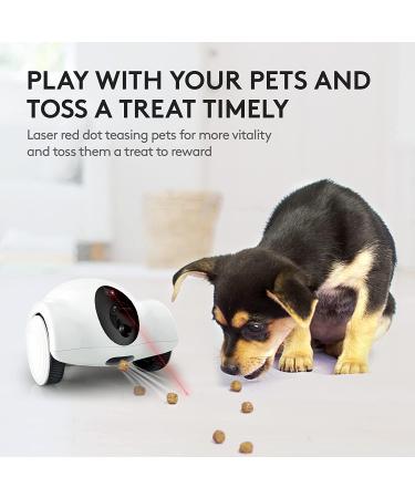 GULIGULI Smart Pet Camera: 1080P Full HD WiFi, Night Vision, 2-Way Audio, No Monthly Fee | Dog Treat Camera & Movable Companion Robot for Pets | Phone App Controlled (2.4G WiFi ONLY) - Buy Online on SooperMarket.com