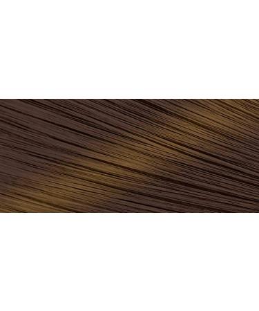 Bigen Speedy Conditioning Color Refill 2 Light Warm Chestnut - 3 Pack - Buy Online on SooperMarket.com