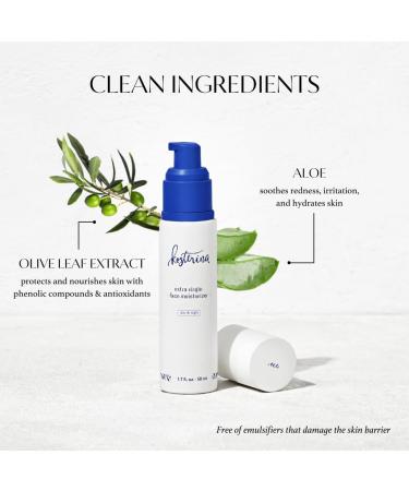 Kosterina Extra Virgin Daily Face Moisturizer | Hydrating & Soothing Natural Cream with Antioxidants Olive Oil & Squalene | 1.7 oz (50ml) - Shop Internationally - Buy Online on SooperMarket.com