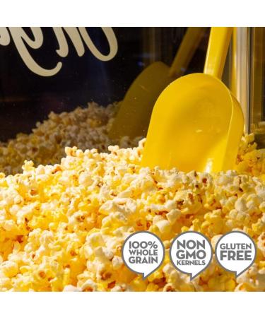 JOLLY TIME All-in-One Popcorn Kit with Kernels, Oil, and Salt for Movie Theater or Air Popper Machines (24 Pack, 8oz Kettle) - 10.5 oz (Pack of 24) - Buy Online on SooperMarket.com