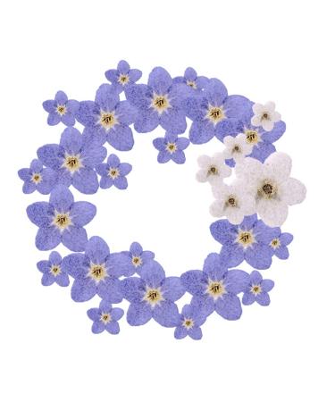YUNZHI Forget Me Not Flowers Myosostis sylvatica Dried Pressed Flowers for Resin Candle Epoxy Resin Soap Making Scrapbooking DIY Art Crafts Painting 40pcs/Pack (Do not Forget me)
