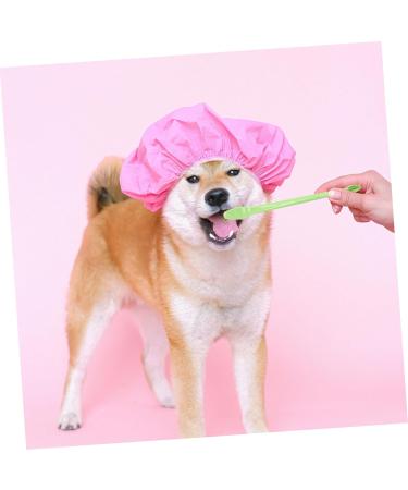 GANAZONO 3 Sets Pet Toothbrush Toothpaste for Dogs Green Dog Toothbrush Pet Mouth Cleaning Tool Tools Pp - Buy Online on SooperMarket.com