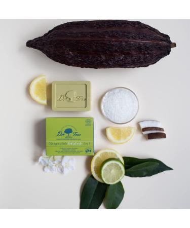 Dr.Tree 2-in-1 Moisturizing Solid Shampoo & Conditioner - 99% Natural Ingredients EcoCert Certified Ideal for All Hair Types - 75g - Buy Online on SooperMarket.com