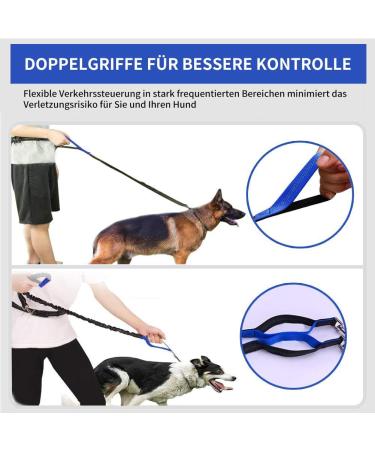 Premium Adjustable Dog Leash - Dual Grip Reflective Walking & Jogging Line with Feces Bag Dispenser for Large Dogs - Shock-Damping Design in Black/Blue - Buy Online on SooperMarket.com