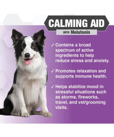 Nootie PROGILITY Daily Soft Chew Supplements for Dogs - Calming, Hip & Joint, Multivitamin, Urinary, Skin and Coat - 90 ct - Buy Online on SooperMarket.com