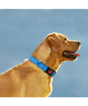 Taglory Soft Padded Neoprene Dog Collar for Medium Dogs - Adjustable Reflective Sky Blue - Perfect for Training - 1-Pack - Buy Online on SooperMarket.com