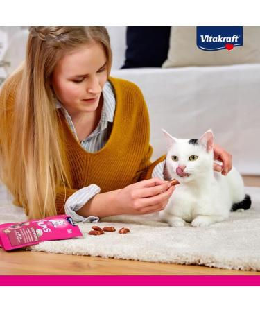 Vita Power Cat Yums - Salmon Cat Snacks Extra Meaty Skin & Fur Support Sugar-Free 9x40g - Omega 3 Boost - Buy Online on SooperMarket.com