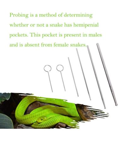 PETSTARCX 6 Pack Round Ball Tip Reptiles Snake Probe Portable Probe Kit - Buy Online on SooperMarket.com