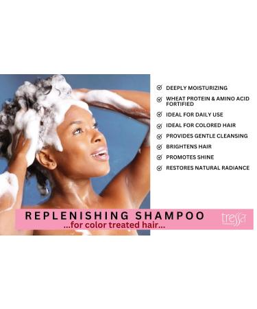 Tressa Replenishing Shampoo - Gentle Cleansing Color Safe Removes Dulling Deposits & Build-Up Brightens Colored & Highlighted Hair - 13.5 oz - Buy Online on SooperMarket.com