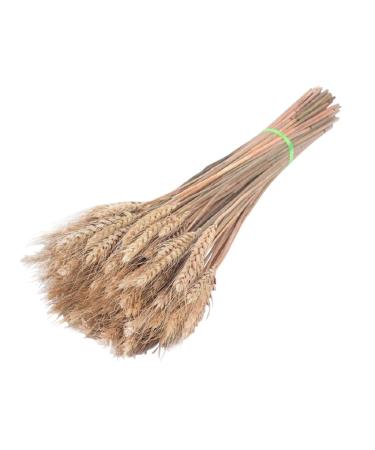 Dried Wheat Stems 100PCS Type 1 Dried Wheat Stalks Dried Wheat Sheaves Fake Dried Wheat Sheaves Stalks Bouquet Bundles Natural Wheat Stalks Bundle Dry Grass Bunch DIY Arrangements Primary