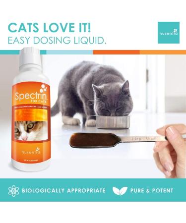 Cat Vitamins - Spectrin 16 OZ Liquid Supplement for Cats - 96 Doses - Buy Online on SooperMarket.com