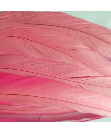 50pcs Pink Rooster Coque Tail Feathers 13-16 Inches - Hat Costume & Craft Decoration - Buy Online on SooperMarket.com